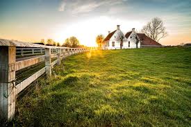 Campo